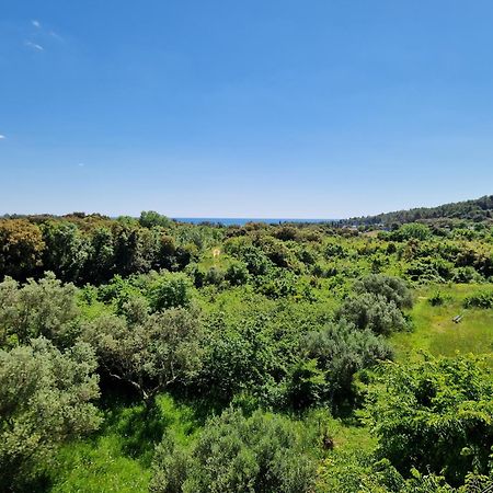 Villa Mareonda Rovinj Ngoại thất bức ảnh