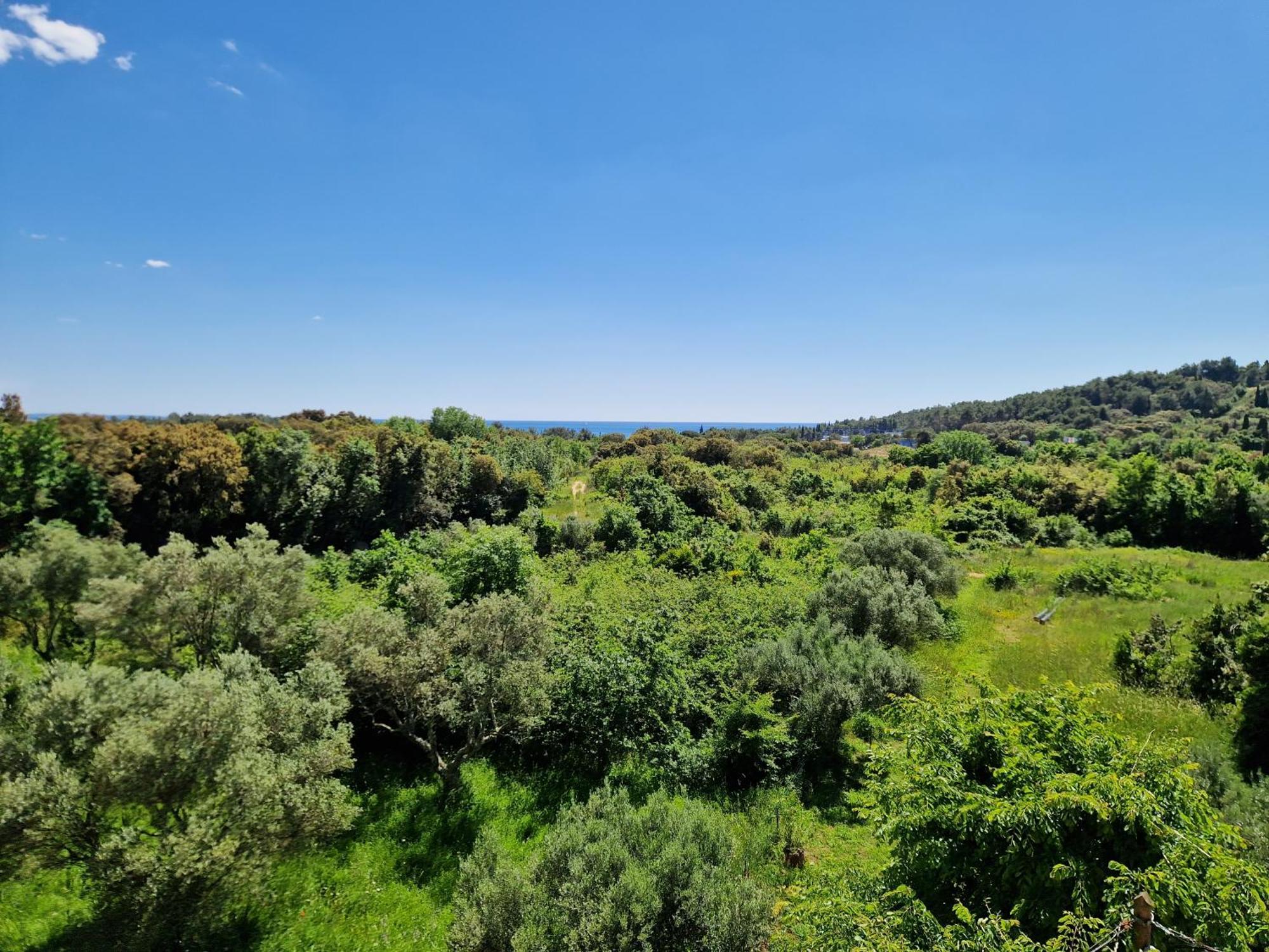 Villa Mareonda Rovinj Ngoại thất bức ảnh